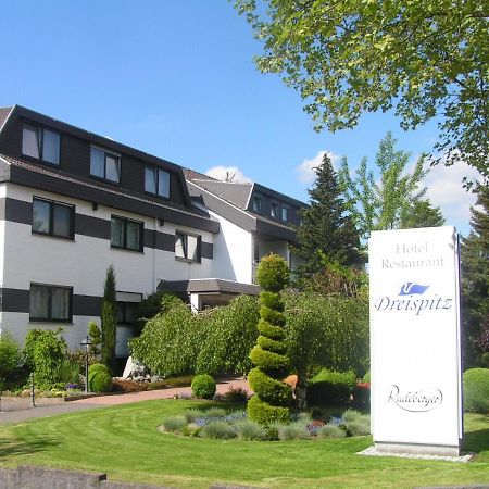 Dreispitz -B&B-Hotel Garni Hofheim am Taunus Buitenkant foto
